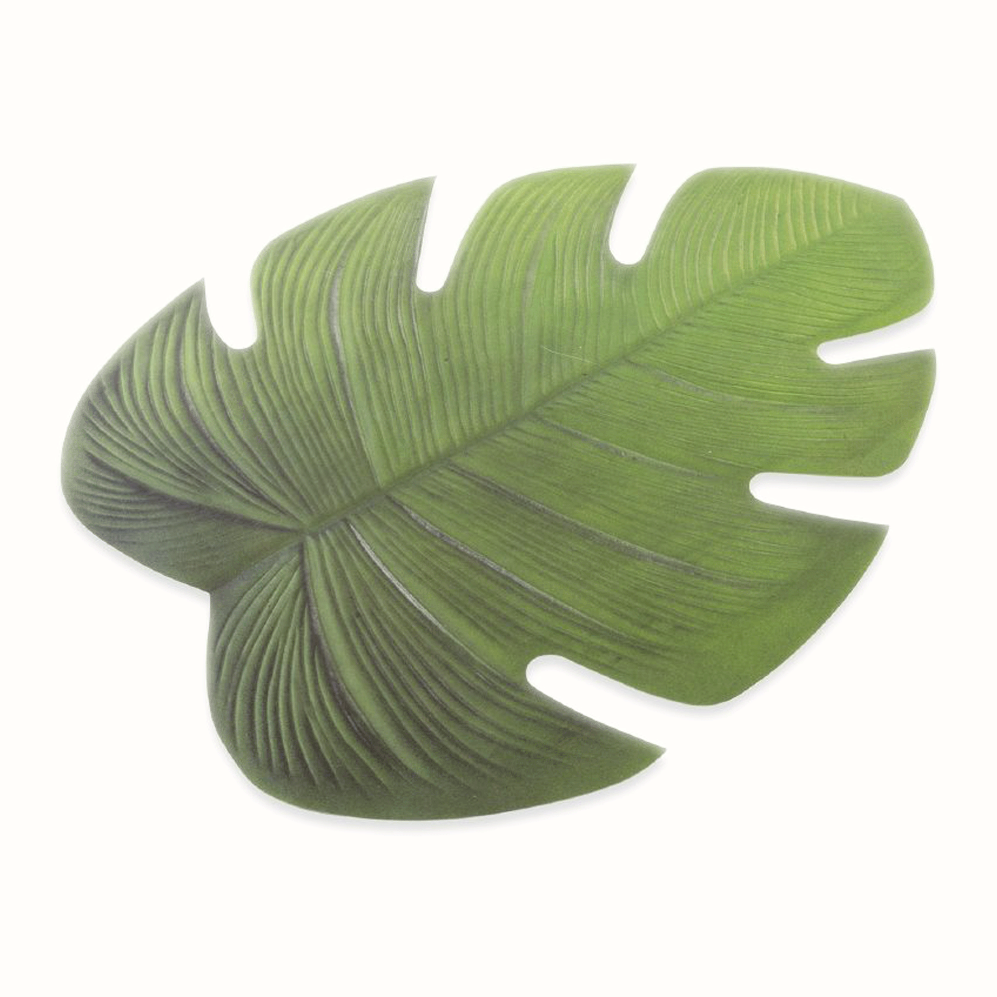 Տակդիր  Jungle Slim Set 5901194